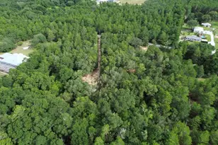 338 Carol Ln, Defuniak Springs, FL 32433 - Photo 1