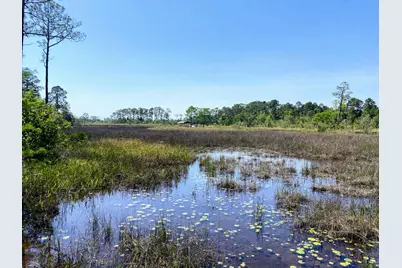 Xxx Corral Road, Milton, FL 32583 - Photo 4