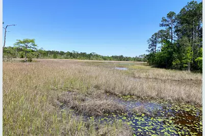 Xxx Corral Road, Milton, FL 32583 - Photo 4
