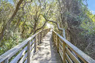 325 Morgans Trail, Santa Rosa Beach, FL 32459 - Photo 90