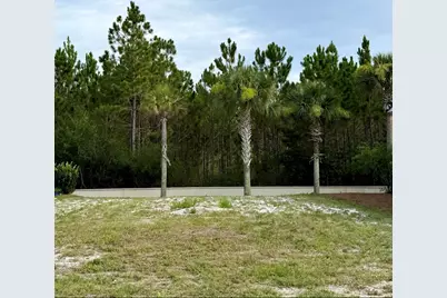 151 Cypress Psge #Lot 11B, Santa Rosa Beach, FL 32459 - Photo 2