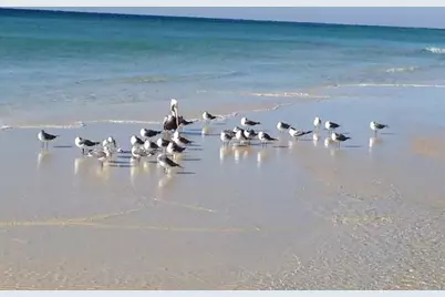[Address not provided], Fort Walton Beach, FL 32548 - Photo 2