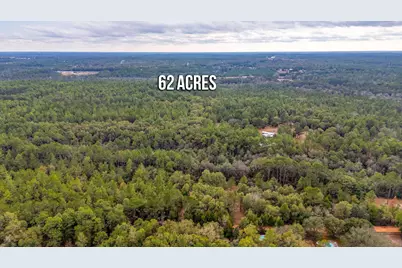 62 Acres Maes Lane, Defuniak Springs, FL 32433 - Photo 8