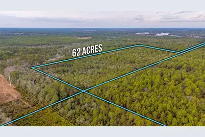 62 Acres Maes Lane, Defuniak Springs, FL 32433 - Photo 6