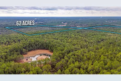 62 Acres Maes Lane, Defuniak Springs, FL 32433 - Photo 4