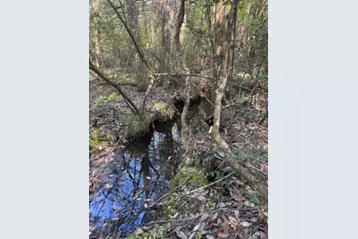 62 Acres Maes Lane, Defuniak Springs, FL 32433 - Photo 12