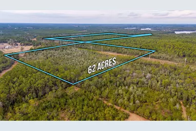 62 Acres Maes Lane, Defuniak Springs, FL 32433 - Photo 1