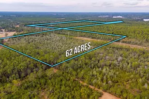 62 Acres Maes Ln, Defuniak Springs, FL 32433 - Photo 1