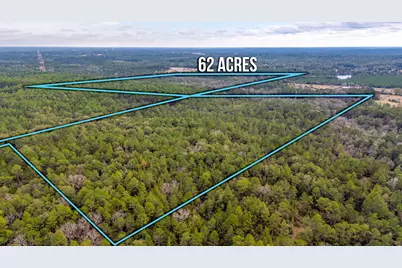 62 Acres Maes Lane, Defuniak Springs, FL 32433 - Photo 2