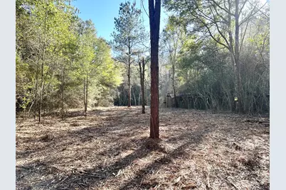 62 Acres Maes Lane, Defuniak Springs, FL 32433 - Photo 10