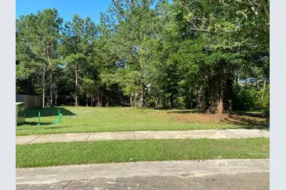 Tbd Lot 1 S Marsh Landing #TBD (Lot 1), Freeport, FL 32439 - Photo 4