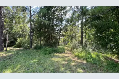 Tbd Lot 1 S Marsh Landing #TBD (Lot 1), Freeport, FL 32439 - Photo 18