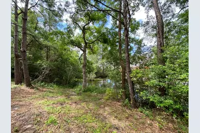 Tbd Lot 1 S Marsh Landing #TBD (Lot 1), Freeport, FL 32439 - Photo 14