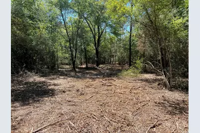 10.7 Acres Juniper Lake Road, Defuniak Springs, FL 32433 - Photo 4