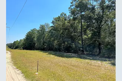 10.7 Acres Juniper Lake Road, Defuniak Springs, FL 32433 - Photo 6