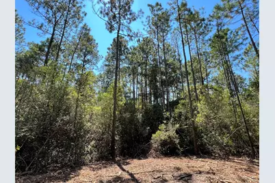 10.7 Acres Juniper Lake Road #TBD (Country Ridge Estates), Defuniak Springs, FL 32433 - Photo 8