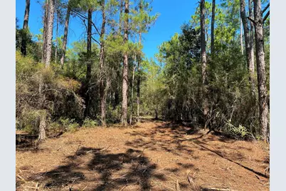 10.7 Acres Juniper Lake Road #TBD (Country Ridge Estates), Defuniak Springs, FL 32433 - Photo 12