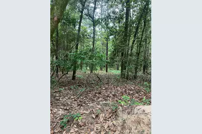 Parcel B Willow Lane, Crestview, FL 32539 - Photo 2