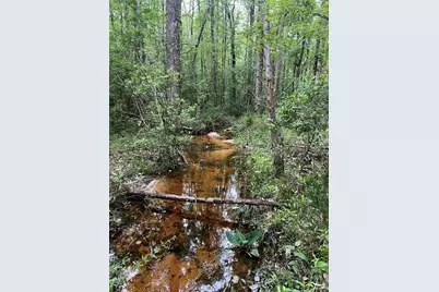 Parcel C Willow Lane, Crestview, FL 32539 - Photo 4