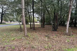 750 W Orange Ave, Defuniak Springs, FL 32435 - Photo 24