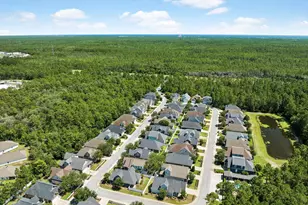 201 Blakely Drew Blvd, Point Washington, FL 32459 - Photo 56