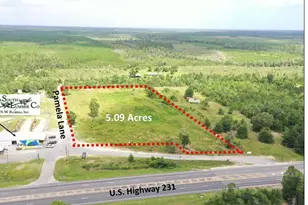 12810 U S Hwy 231, Youngstown, FL 32466 - Photo 1