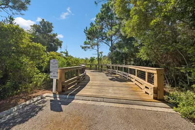 51 Shingle Lane, Inlet Beach, FL 32461 - Photo 64