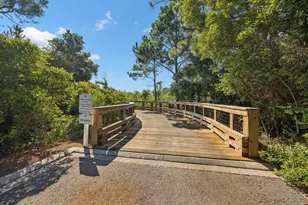 51 Shingle Ln, Inlet Beach, FL 32461 - Photo 64