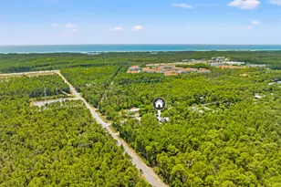 40 Long Leaf Cir, Santa Rosa Beach, FL 32459 - Photo 62