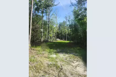 168 Acres Co Hwy 1087 #168 Acres, Defuniak Springs, FL 32433 - Photo 4
