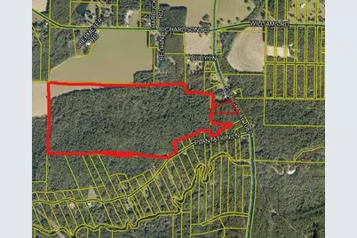168 Acres Co Hwy 1087 #168 Acres, Defuniak Springs, FL 32433 - Photo 2