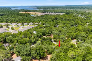 266 Goodwin Creek Rd, Freeport, FL 32439 - Photo 8