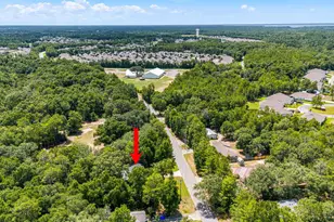 266 Goodwin Creek Rd, Freeport, FL 32439 - Photo 4