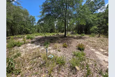 Lot 20 E Tulip East Avenue, Defuniak Springs, FL 32433 - Photo 1