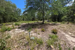 Lot 20 E Tulip East Ave, Defuniak Springs, FL 32433 - Photo 1
