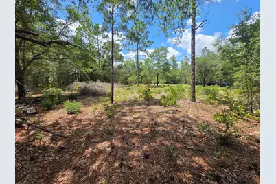 Lot 20 E Tulip East Avenue, Defuniak Springs, FL 32433 - Photo 8
