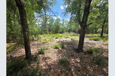 Lot 20 E Tulip East Avenue, Defuniak Springs, FL 32433 - Photo 10