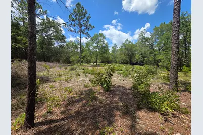 Lot 20 E Tulip East Avenue, Defuniak Springs, FL 32433 - Photo 6