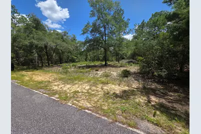 Lot 20 E Tulip East Avenue, Defuniak Springs, FL 32433 - Photo 4