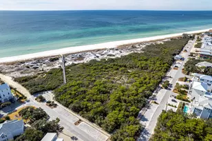 17 Dulce Ln, Inlet Beach, FL 32461 - Photo 150