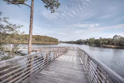 230 N Splash Drive, Inlet Beach, FL 32461 - Photo 34