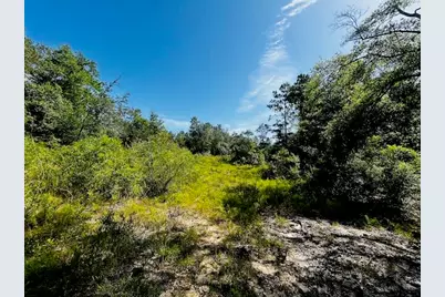 4195 Whippoorwill Drive, Holt, FL 32564 - Photo 14