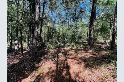 4195 Whippoorwill Drive, Holt, FL 32564 - Photo 20