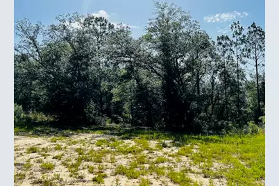 4195 Whippoorwill Drive, Holt, FL 32564 - Photo 10