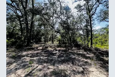 4195 Whippoorwill Drive, Holt, FL 32564 - Photo 18