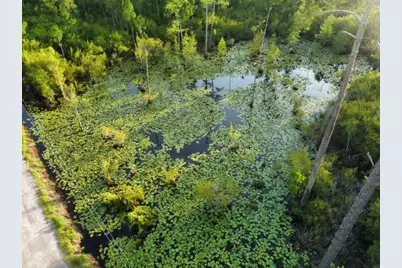Lot 29 N Eden Park Drive, Santa Rosa Beach, FL 32459 - Photo 6