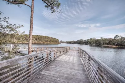 230 N Splash Drive, Watersound, FL 32461 - Photo 46