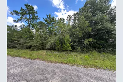 Tbd Pinetree Lane, Defuniak Springs, FL 32433 - Photo 1
