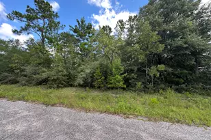 Tbd Pinetree Ln, Defuniak Springs, FL 32433 - Photo 1