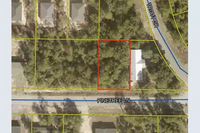Tbd Pinetree Lane, Defuniak Springs, FL 32433 - Photo 2